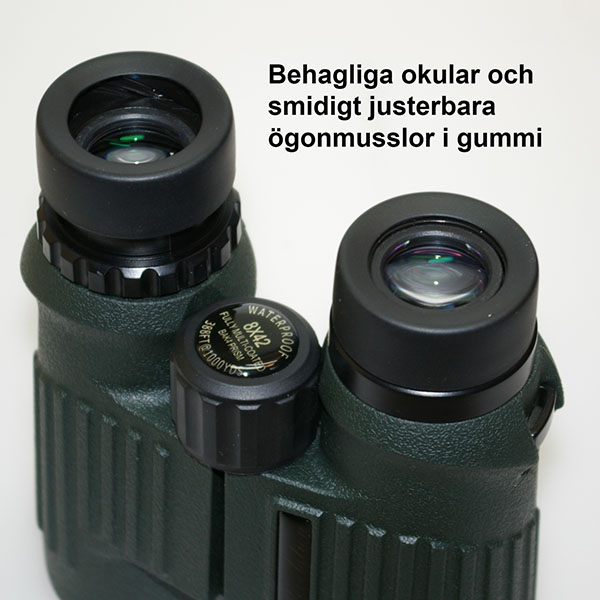 Focus 8x42 SF Waterproof Roof Prism Binoculars